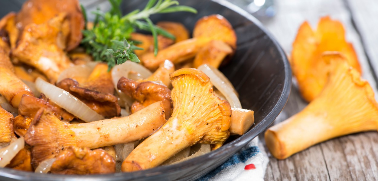 Portion of fried Chanterelles in a skillet